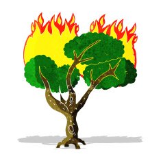 cartoon burning tree N12