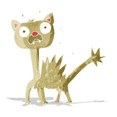 cartoon scared cat N2