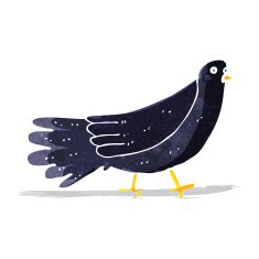Cartoon Bird N143