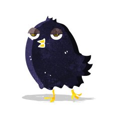 funny cartoon bird N61