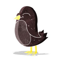 Cartoon Bird N147