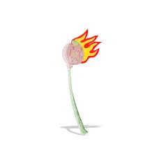 cartoon dried poppy N4
