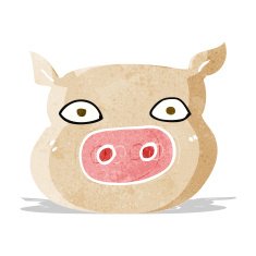 Cartoon Pig Face N9