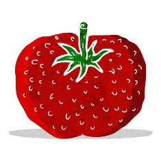 Cartoon Tomato N43