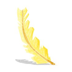 Cartoon Feather N16
