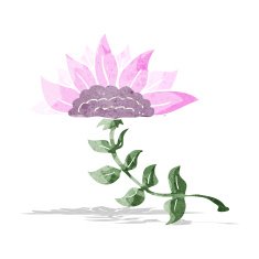 cartoon flower N167