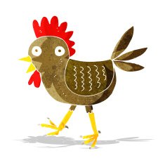 funny cartoon chicken N3