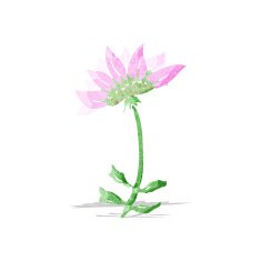 cartoon flower N169