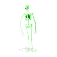 cartoon spooky skeleton N2