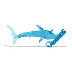 Cartoon Hammerhead Shark N7