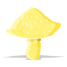 cartoon wild mushroom N3