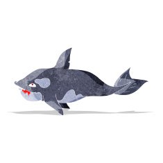 Cartoon Killer Whale N6