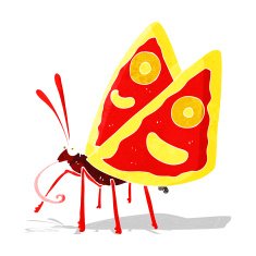 cartoon funny butterfly N6