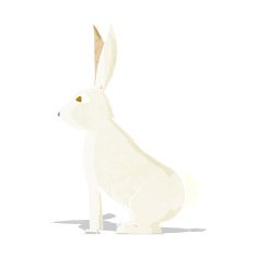 Cartoon Rabbit N68