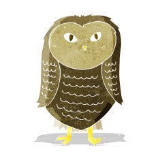 Cartoon Owl N93