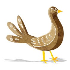 Cartoon Bird N152