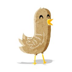 cartoon happy bird N8