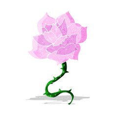 Cartoon Rose N9