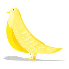 Cartoon Bird N153