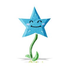 cartoon star flower N3