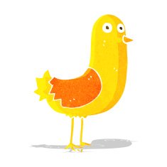 Cartoon Bird N161