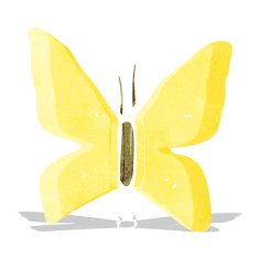 cartoon butterfly symbol N6