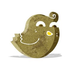 cartoon funny bird N5