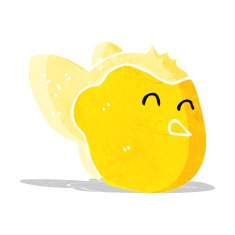 Cartoon Bird N162