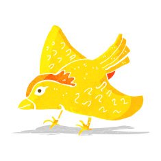 cartoon garden bird N10
