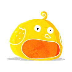 cartoon fat bird N5