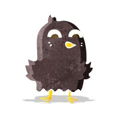 funny cartoon bird N63