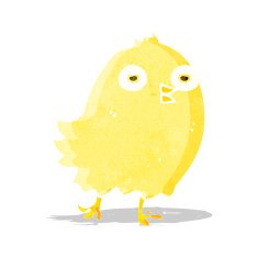 funny cartoon bird N65