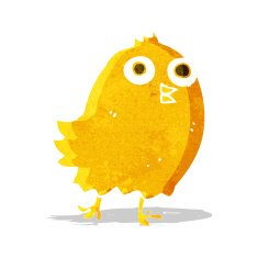 cartoon happy bird N11