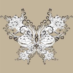 butterfly N13