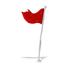 cartoon flag N6