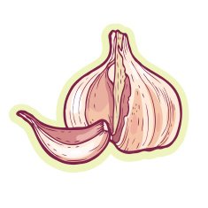 garlic N2
