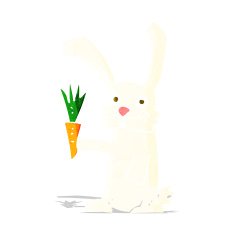 Cartoon Rabbit With Carrot N4