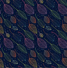 autumn leaf background N8