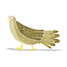 Cartoon Bird N172