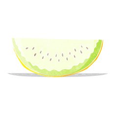 cartoon melon slice N7