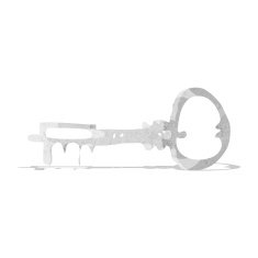 Cartoon Key N15