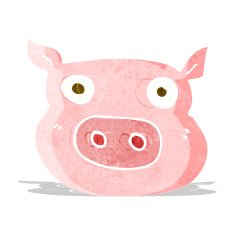 Cartoon Pig Face N10