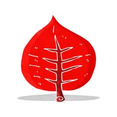Cartoon Leaf N54