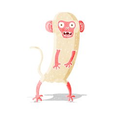 cartoon crazy monkey N10