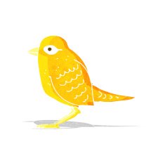 cartoon garden bird N12
