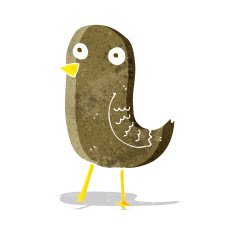funny cartoon bird N72