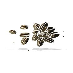 Cartoon Coffee Beans N13
