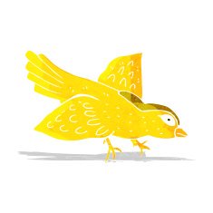 Cartoon Bird N174