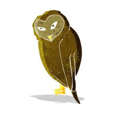 Cartoon Owl N96