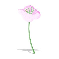 cartoon flower N196
